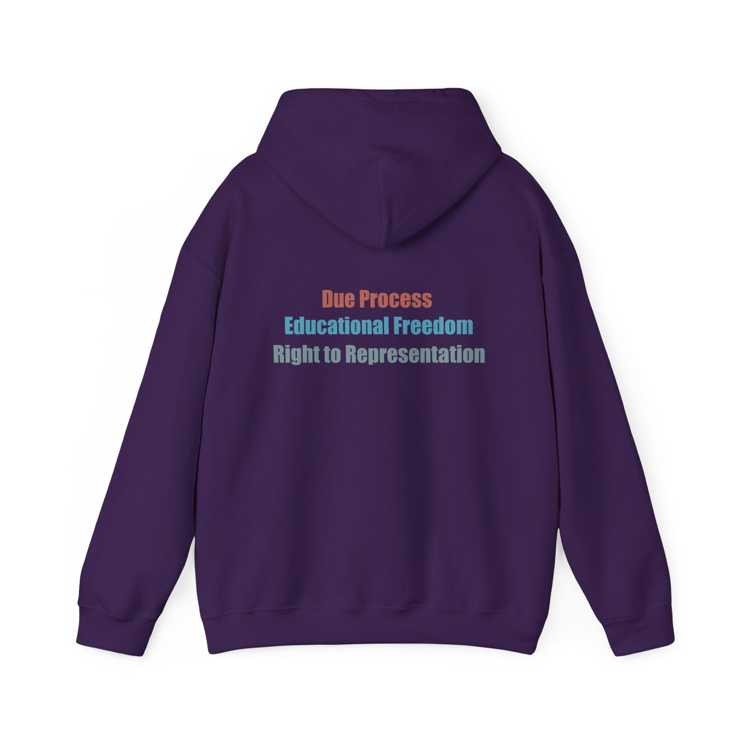 Due Process. Educational Freedom. Right to Representation. Unisex Hoodie