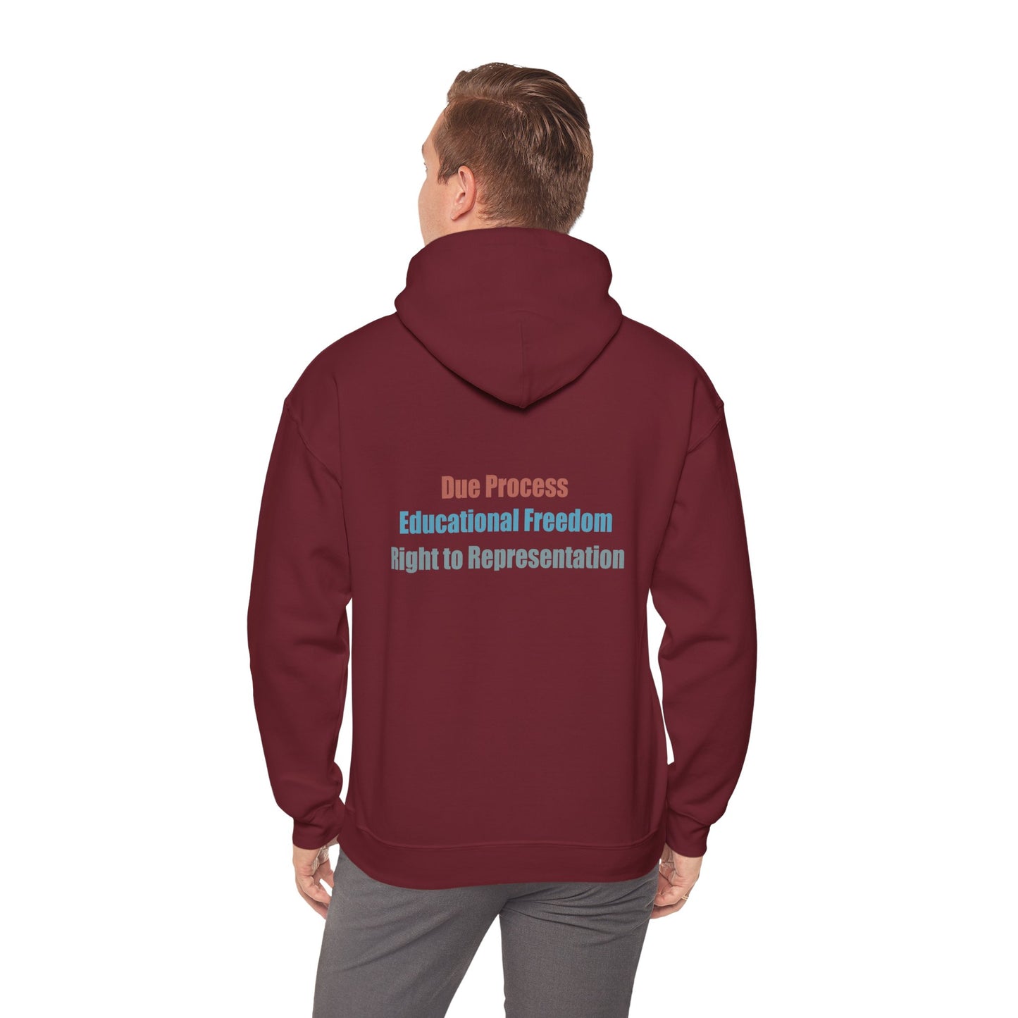 Due Process. Educational Freedom. Right to Representation. Unisex Hoodie
