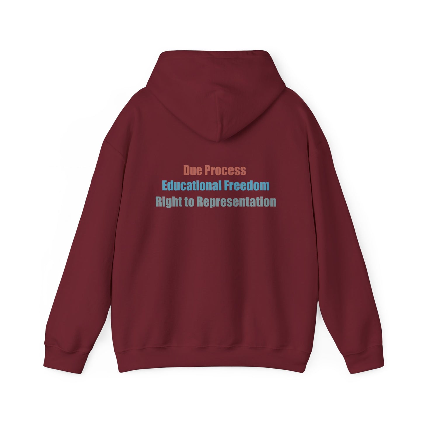Due Process. Educational Freedom. Right to Representation. Unisex Hoodie